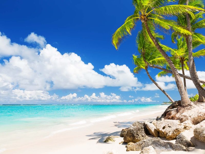 Punta Cana Fiestas Patrias 2026